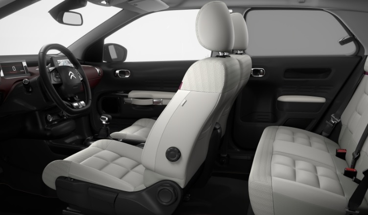 2019 Citroen C4 Cactus 1.2 Shine