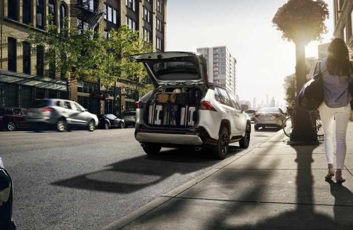 2019 Toyota RAV4 2.5 Flame